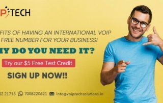 VoIP Toll Free Number, Benefits Of Having An International VoIP Toll Free Number For Your Business! Why Do You Need It?, VoIP tech solutions, vici dialer, virtual number, Voip Providers, voip services in india, best sip provider, business voip providers, VoIP Phone Numbers, voip minutes provider, top voip providers, voip minutes, International VoIP Provider