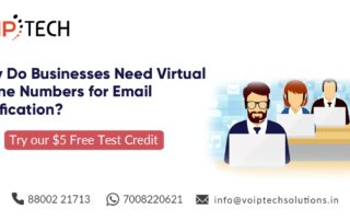 VoIP tech solutions, vici dialer, virtual number, Voip Providers, voip services in india, best sip provider, business voip providers, VoIP Phone Numbers, voip minutes provider, top voip providers, voip minutes, International VoIP Provider, Virtual Phone Numbers, Why Do Businesses Need Virtual Phone Numbers for Email Verification?