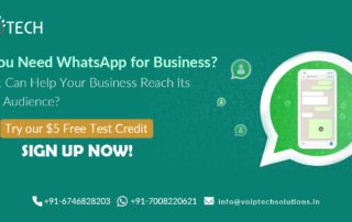 Do You Need WhatsApp for Business? How It Can Help Your Business Reach Its Target Audience? , VoIP tech solutions, vici dialer, virtual number, Voip Providers, voip services in india, best sip provider, business voip providers, VoIP Phone Numbers, voip minutes provider, top voip providers, voip minutes, International VoIP Provider