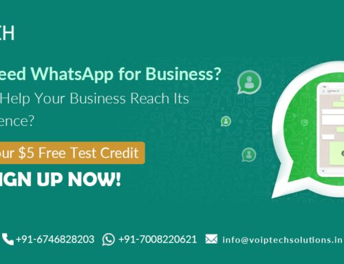 Do You Need WhatsApp for Business? How It Can Help Your Business Reach Its Target Audience?
