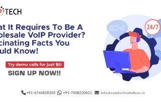 What It Requires To Be A Wholesale VoIP Provider? Fascinating Facts You Should Know! , VoIP tech solutions, vici dialer, virtual number, Voip Providers, voip services in india, best sip provider, business voip providers, VoIP Phone Numbers, voip minutes provider, top voip providers, voip minutes, International VoIP Provider