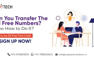 Can You Transfer The Toll Free Numbers? Know How to Do It? , VoIP tech solutions, vici dialer, virtual number, Voip Providers, voip services in india, best sip provider, business voip providers, VoIP Phone Numbers, voip minutes provider, top voip providers, voip minutes, International VoIP Provider