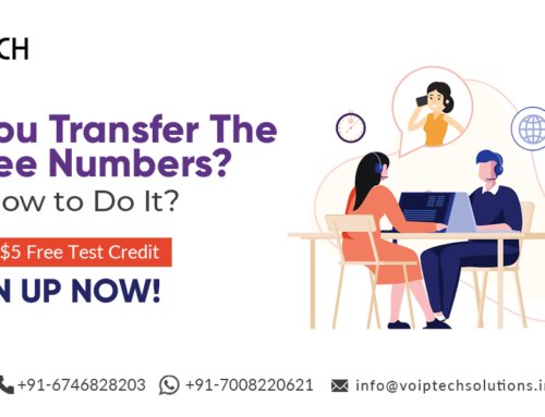 Can You Transfer The Toll Free Number? Know How to Do It?