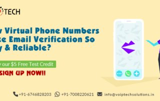 How Virtual Phone Numbers Make Email Verification So Easy & Reliable?, Virtual Phone Number, VoIP tech solutions, vici dialer, virtual number, Voip Providers, voip services in india, best sip provider, business voip providers, VoIP Phone Numbers, voip minutes provider, top voip providers, voip minutes, International VoIP Provider