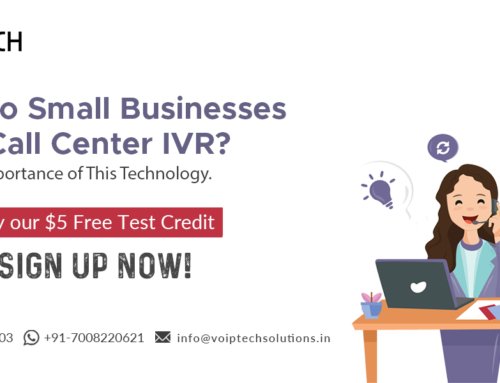 Why Do Small Businesses Need Call Center IVR? Know The Importance of This Technology.