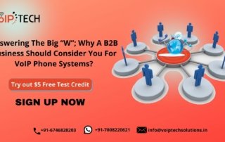 VoIP Phone Systems, Answering The Big “W”; Why A B2B Business Should Consider You For VoIP Phone Systems?, VoIP tech solutions, vici dialer, virtual number, Voip Providers, voip services in india, best sip provider, business voip providers, VoIP Phone Numbers, voip minutes provider, top voip providers, voip minutes, International VoIP Provider