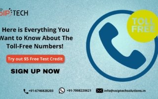 Here is Everything You Want to Know About The Toll-Free Numbers! , Toll-Free Numbers, VoIP tech solutions, vici dialer, virtual number, Voip Providers, voip services in india, best sip provider, business voip providers, VoIP Phone Numbers, voip minutes provider, top voip providers, voip minutes, International VoIP Provider