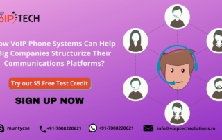 VoIP Phone Systems, How VoIP Phone Systems Can Help Big Companies Structurize Their Communications Platforms?, VoIP tech solutions, vici dialer, virtual number, Voip Providers, voip services in india, best sip provider, business voip providers, VoIP Phone Numbers, voip minutes provider, top voip providers, voip minutes, International VoIP Provider