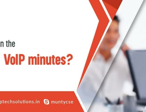 What difference between the DID numbers and VoIP minutes?